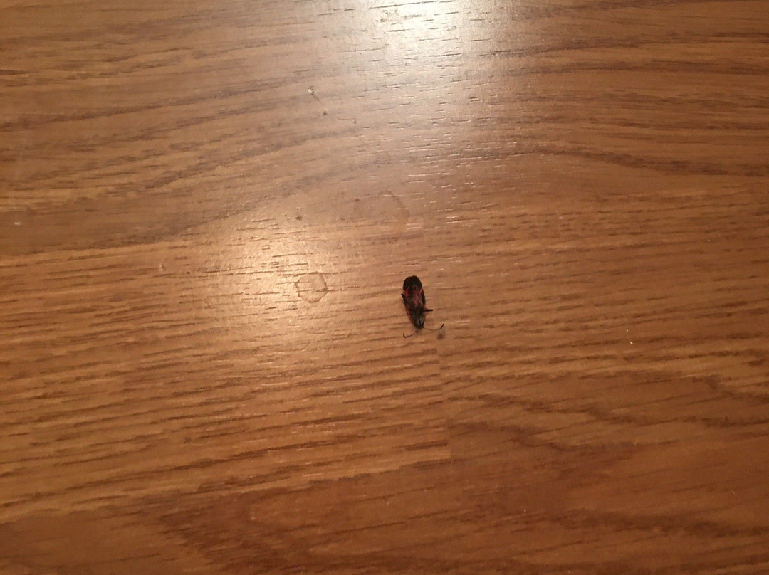 Parkview Getaways主图