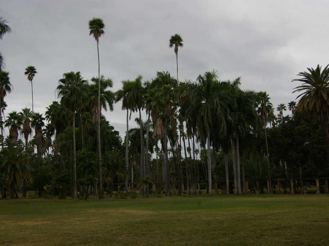 Parque Sinaloa-Los Mochis必去景点