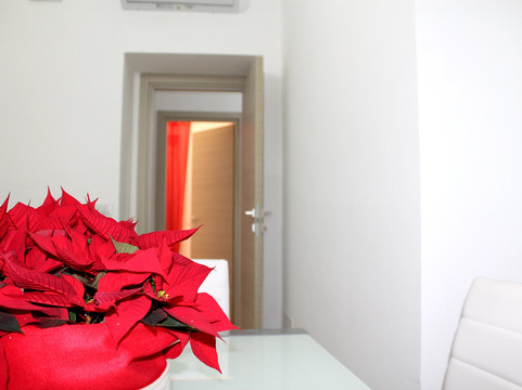 幻影精品公寓II主图