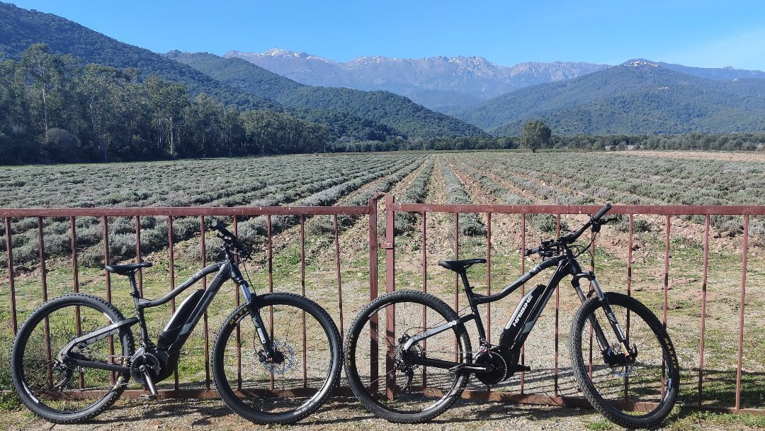 Sol In Bike-Solaro必去景点