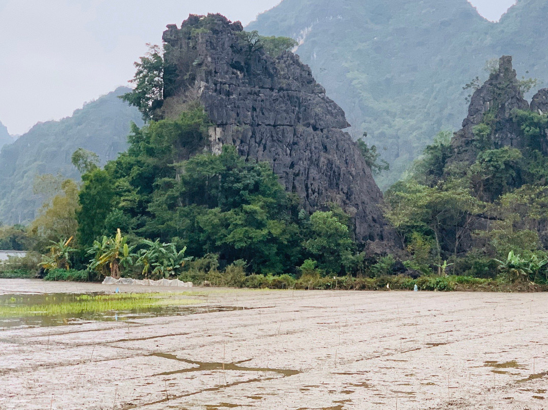 Thai Vi Temple景点图片