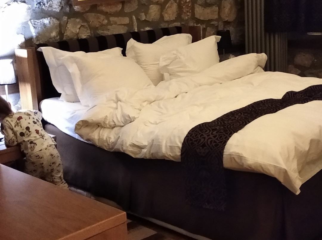 Miramonte Chalet Hotel Spa主图