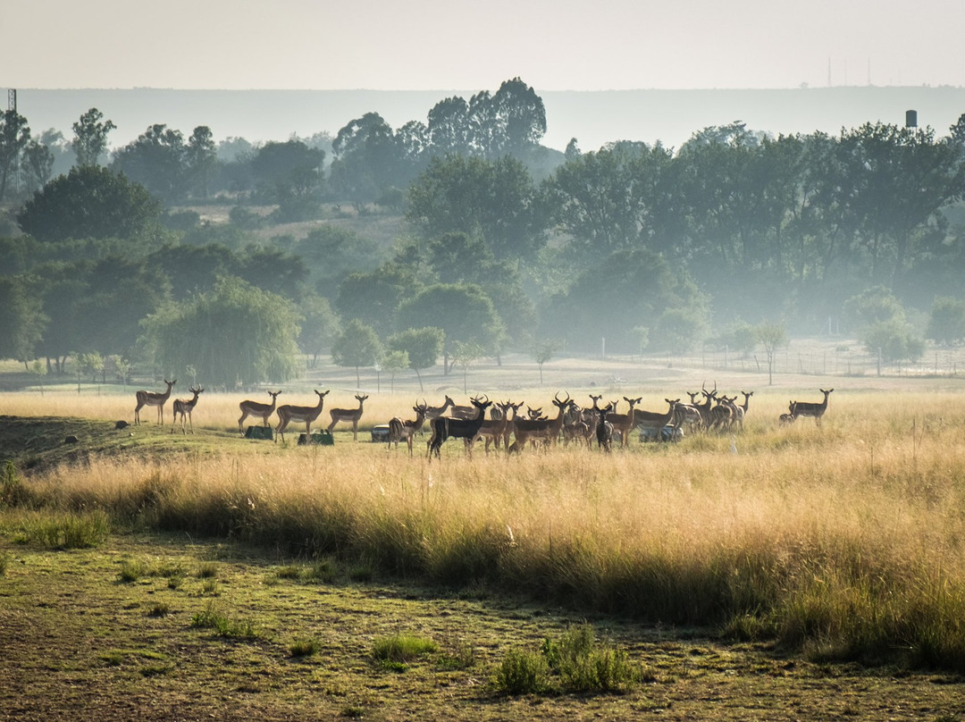 Guesthouse @ 56主图