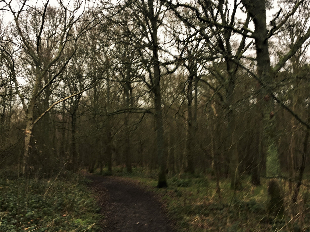 Orlestone Forest Nature Reserve-Warehorne必去景点