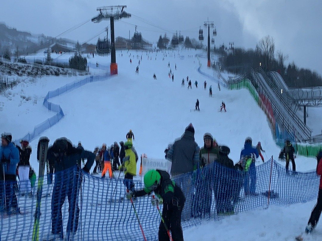 Hartwegers Ski & Snowboard School-卡普润必去景点