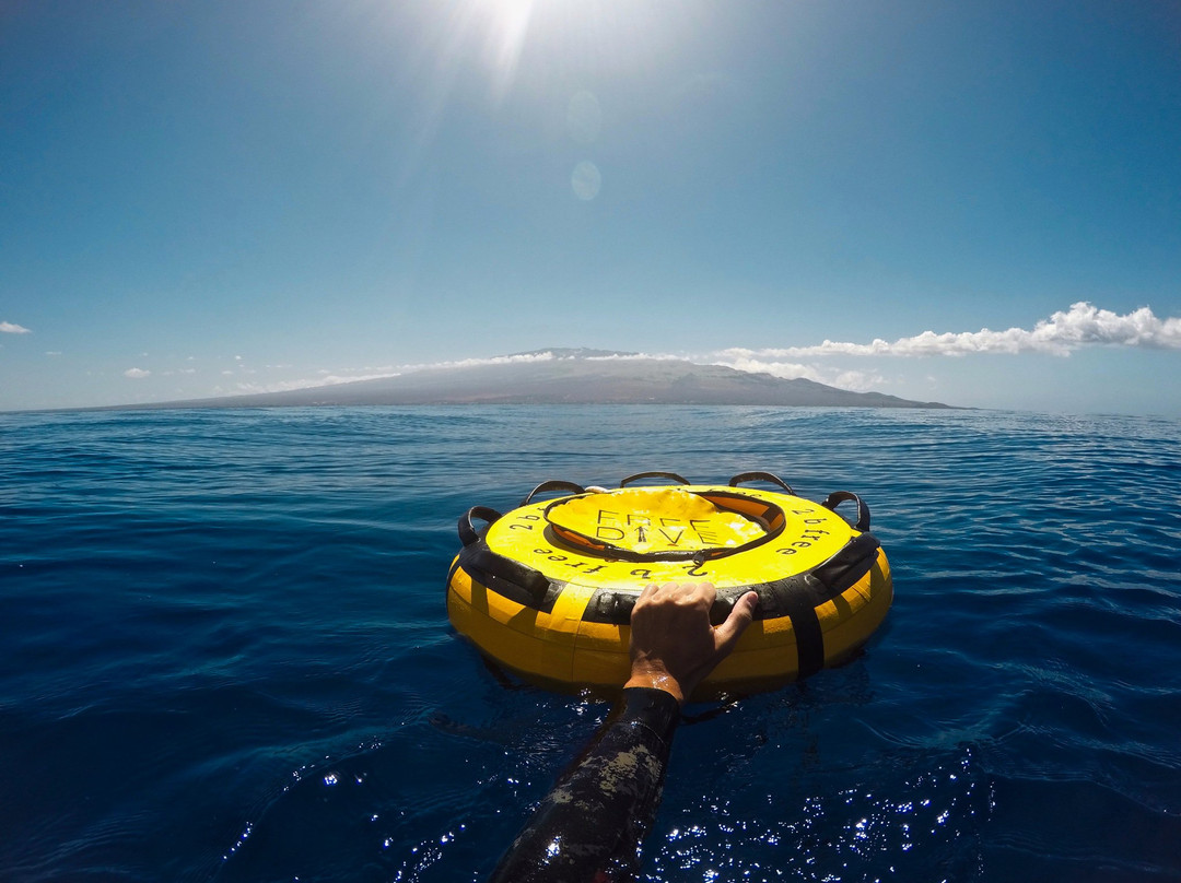 Freedive Hawaii景点图片