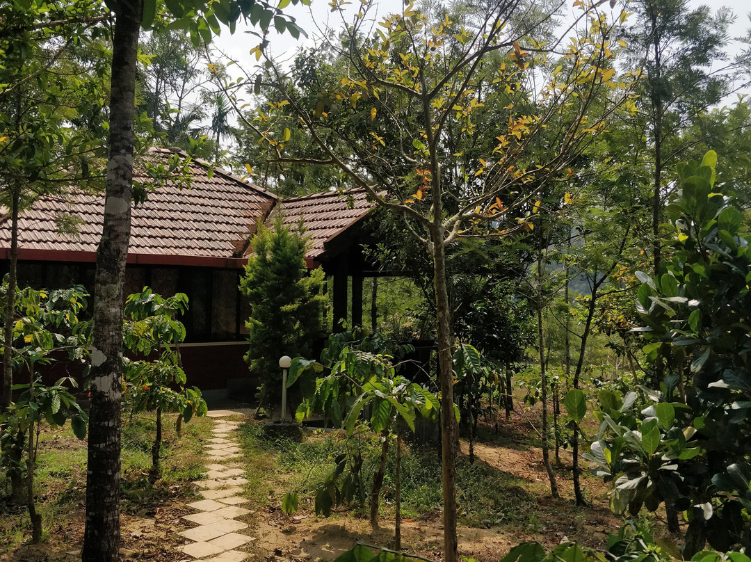 Sterling Brookstone Coorg主图