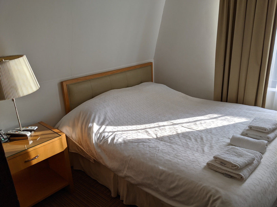 Lican Ray Hotel主图