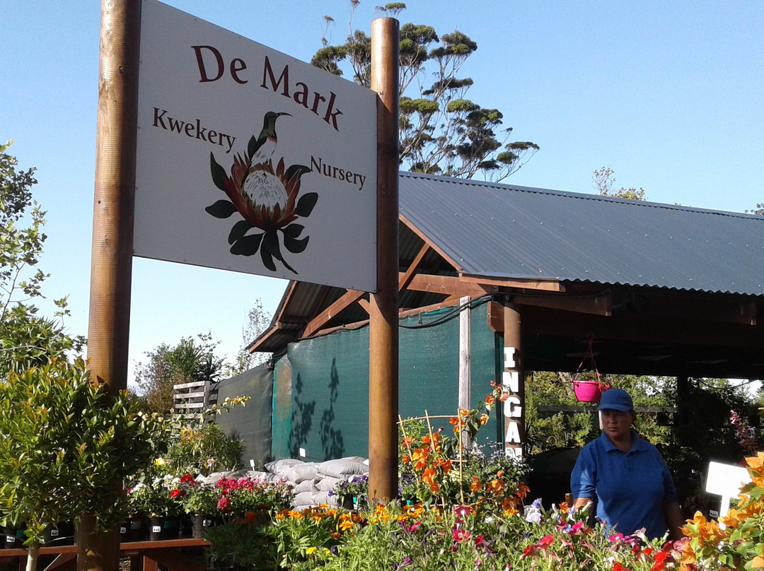 Outeniqua Farmers' Market-乔治必去景点