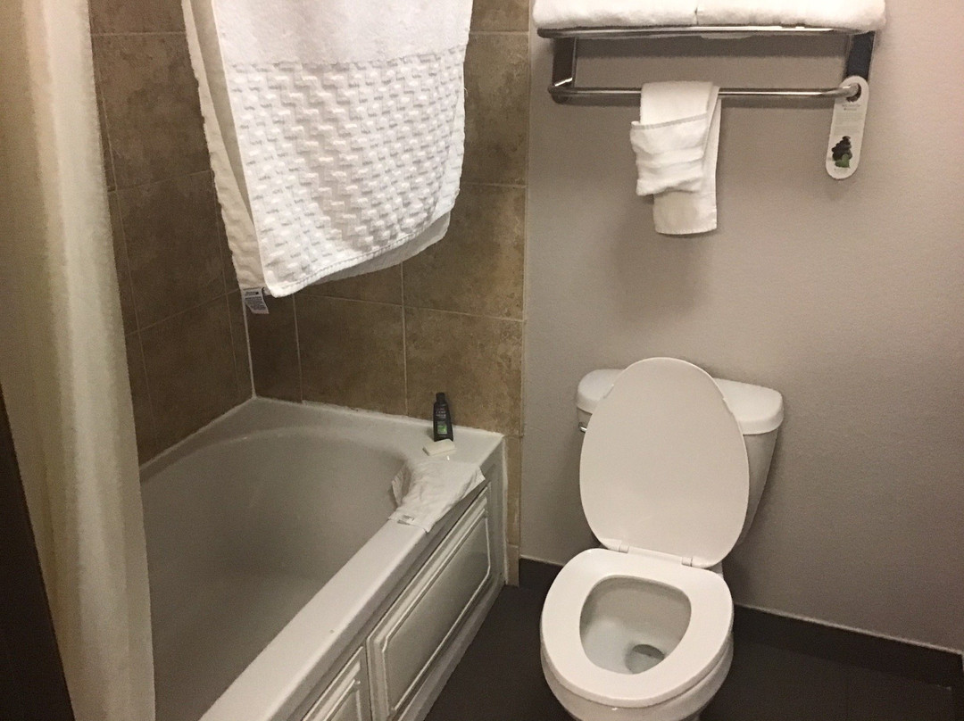 Best Western Plus University Inn & Suites主图