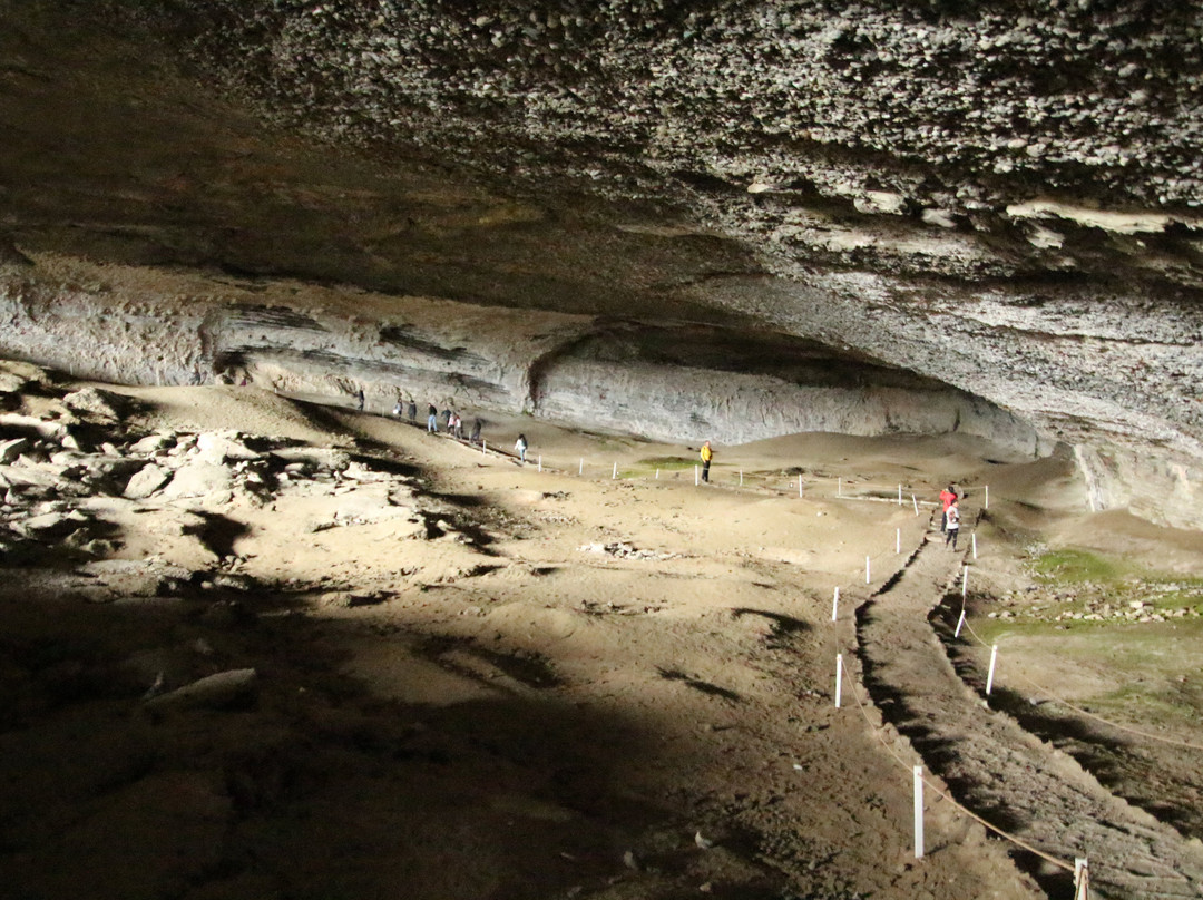 Cueva del Milodon景点图片