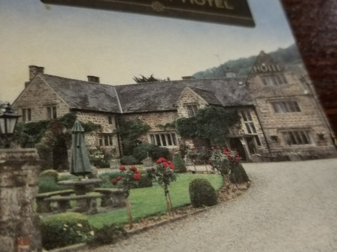 The Old Court Hotel主图