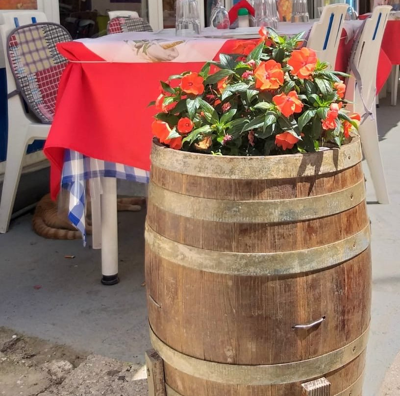 Corfu Live Tour-科孚必去景点