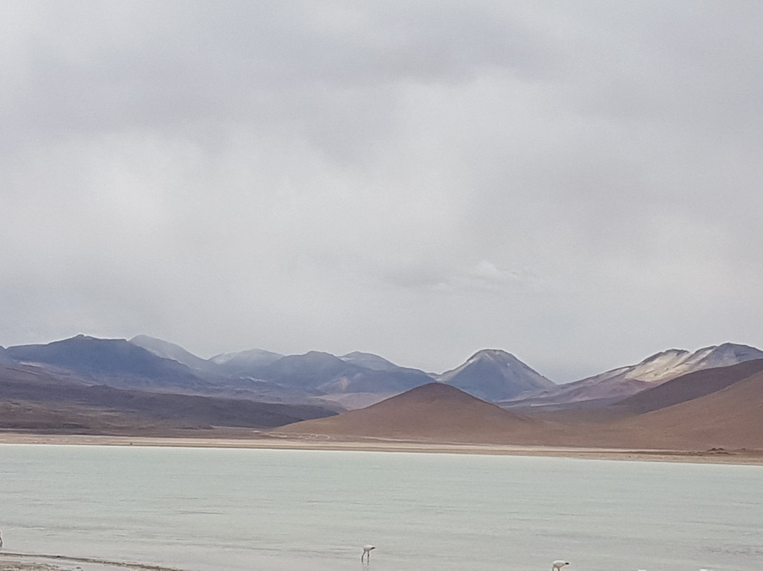 Laguna Blanca-乌尤尼必去景点