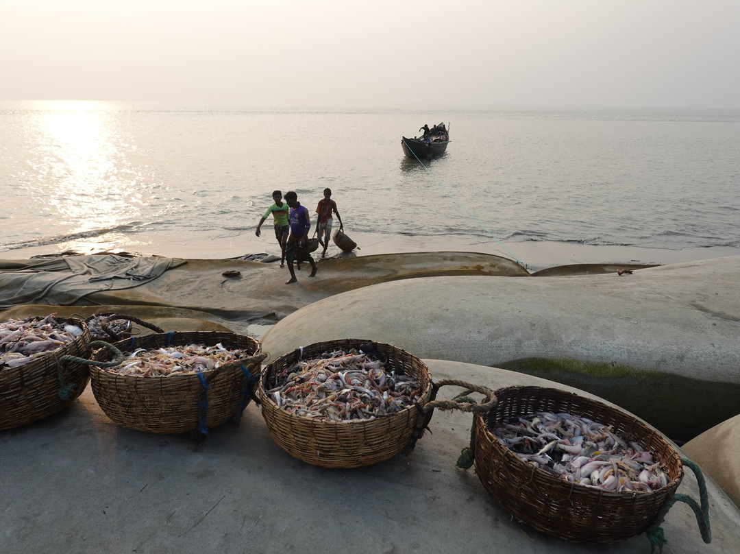 Trip To Bangladesh - Day Tours景点图片