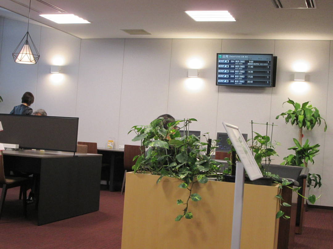Yonago Airport General Information Center景点图片