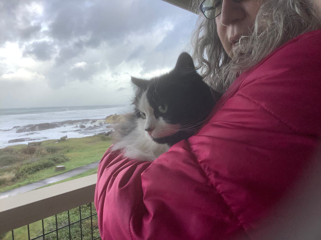 Fireside Motel主图