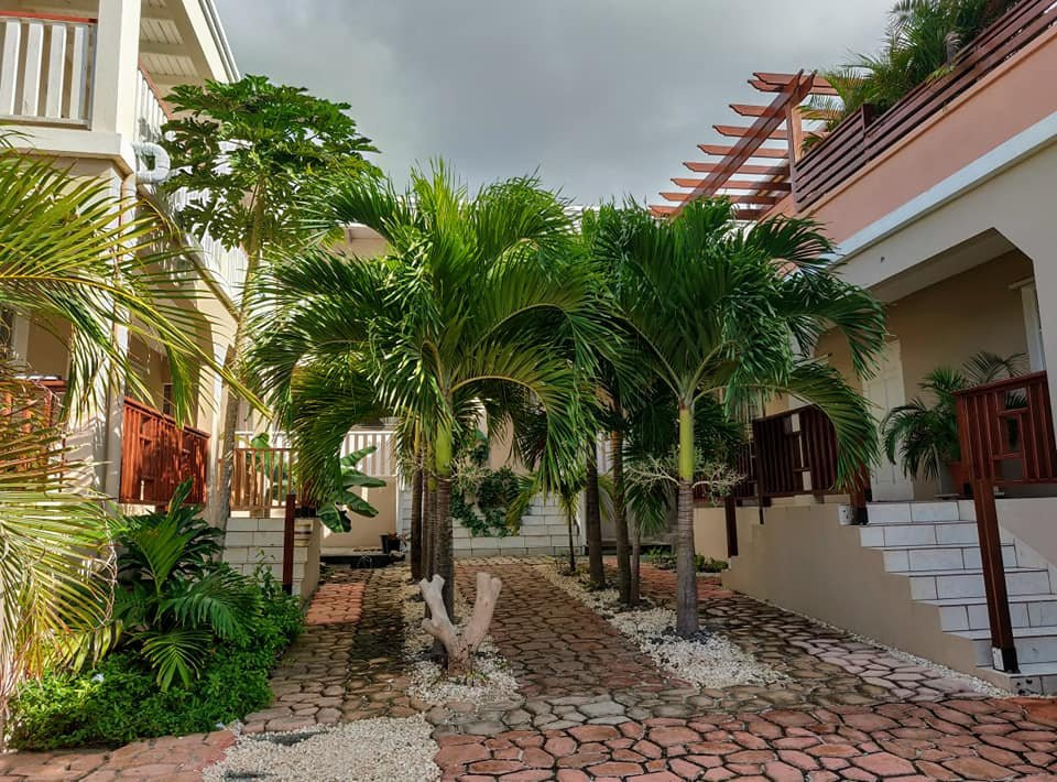 Palm Spring Inn主图