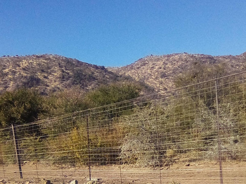 KML Shuttle Services-桑顿必去景点