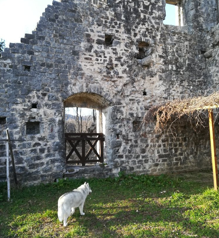 Castello Di Cergneu景点图片