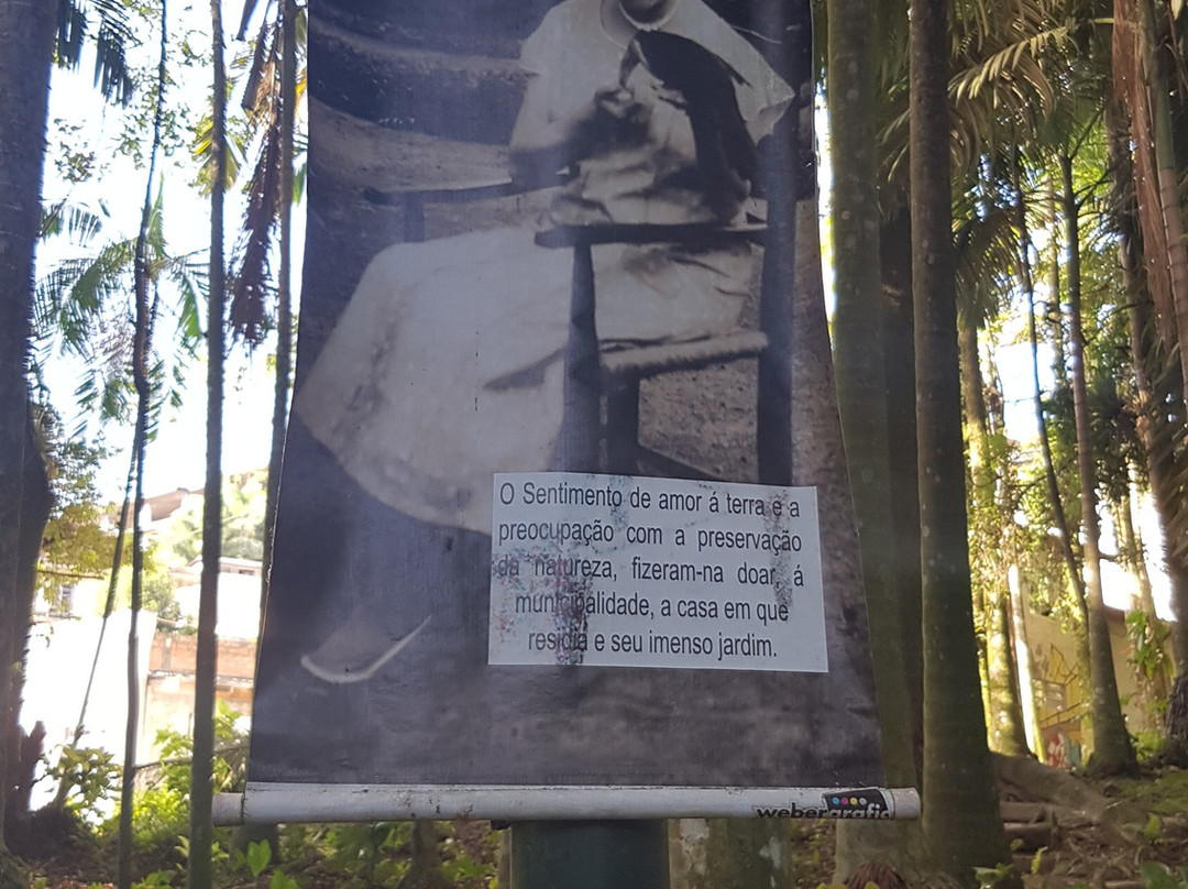 Cemiterio De Gatos-Blumenau必去景点