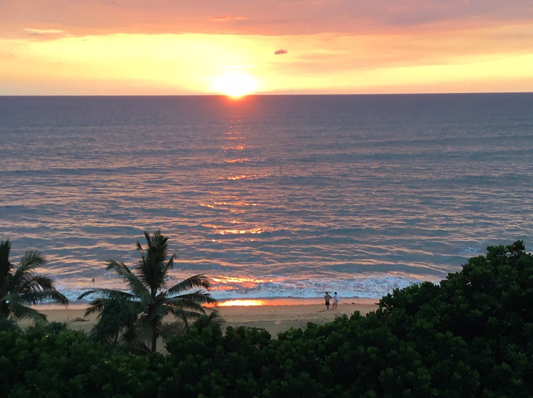 Palace Seaside-Waskaduwa必去景点