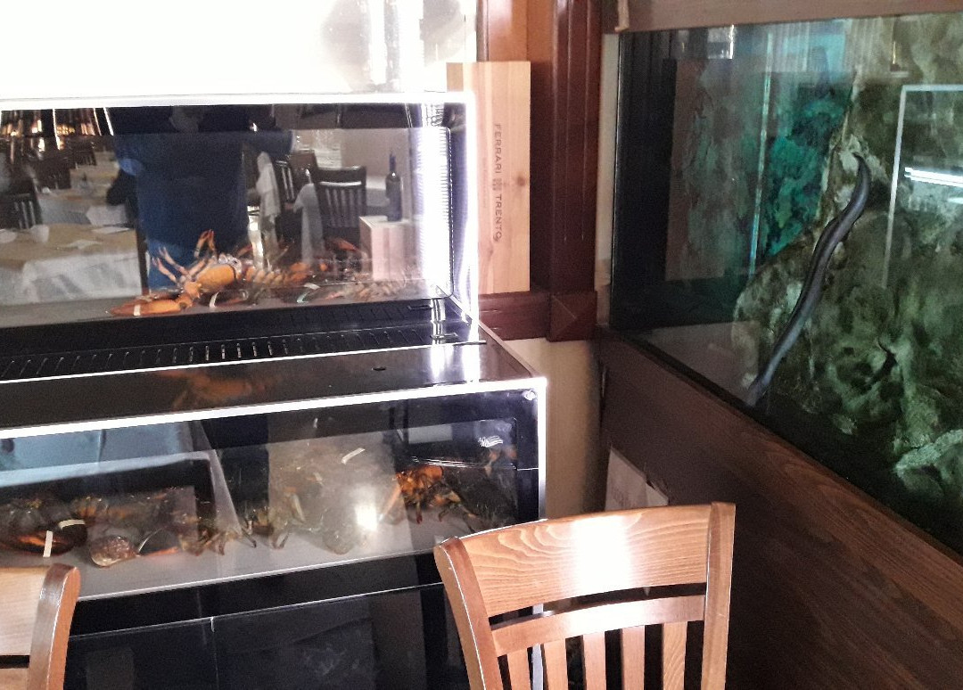 RHD Hotel Donato主图