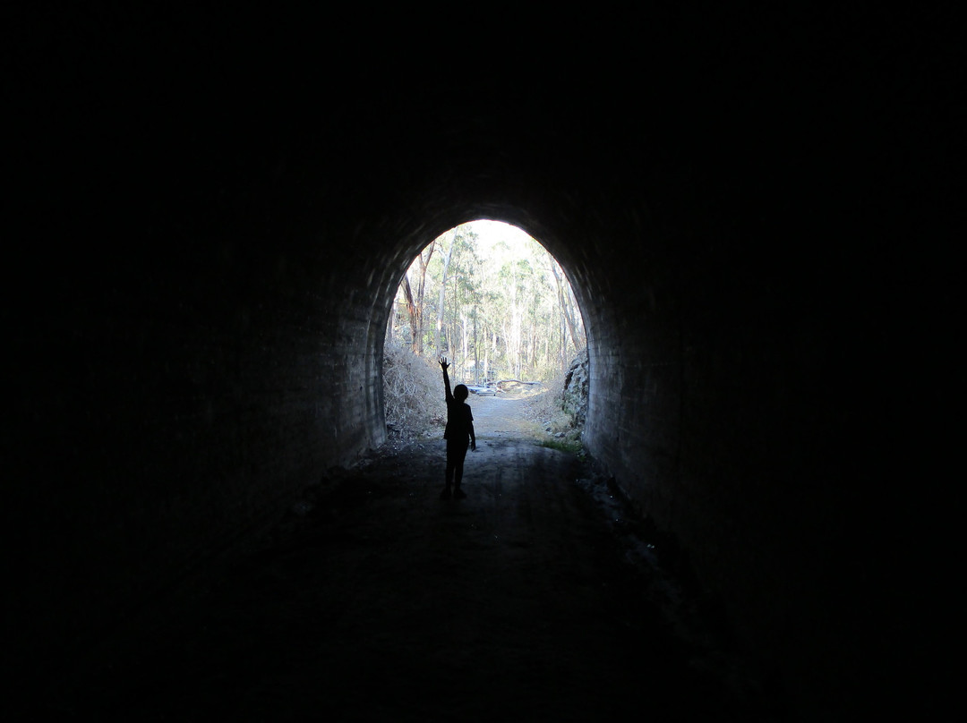 Bunya Mountains旅游攻略图片