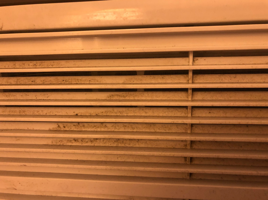 Super 8 by Wyndham Zanesville主图