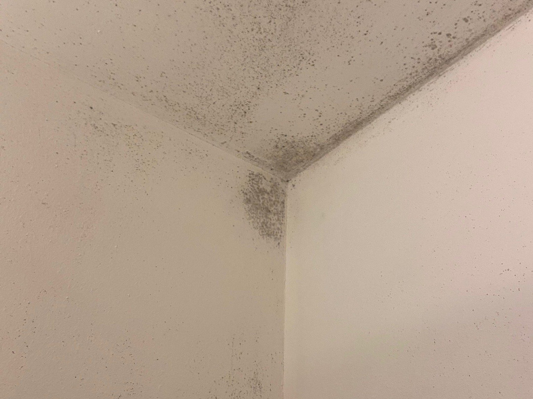 Romagny旅游攻略图片