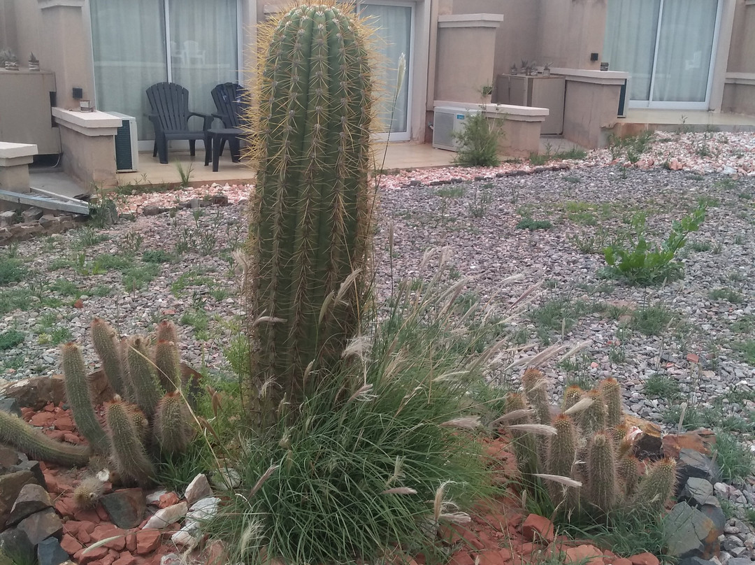 El Chiflon Posta Pueblo主图