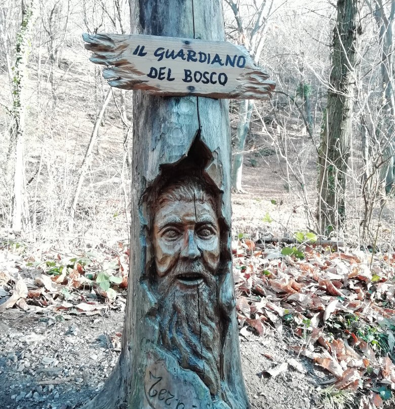 Sculture in Legno景点图片