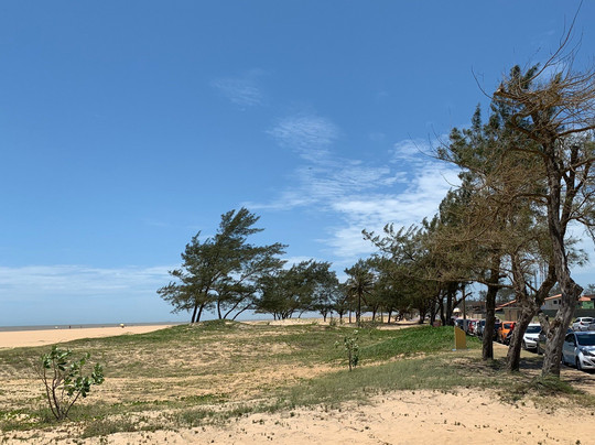 Praia Grussai-Sao Joao Da Barra必去景点