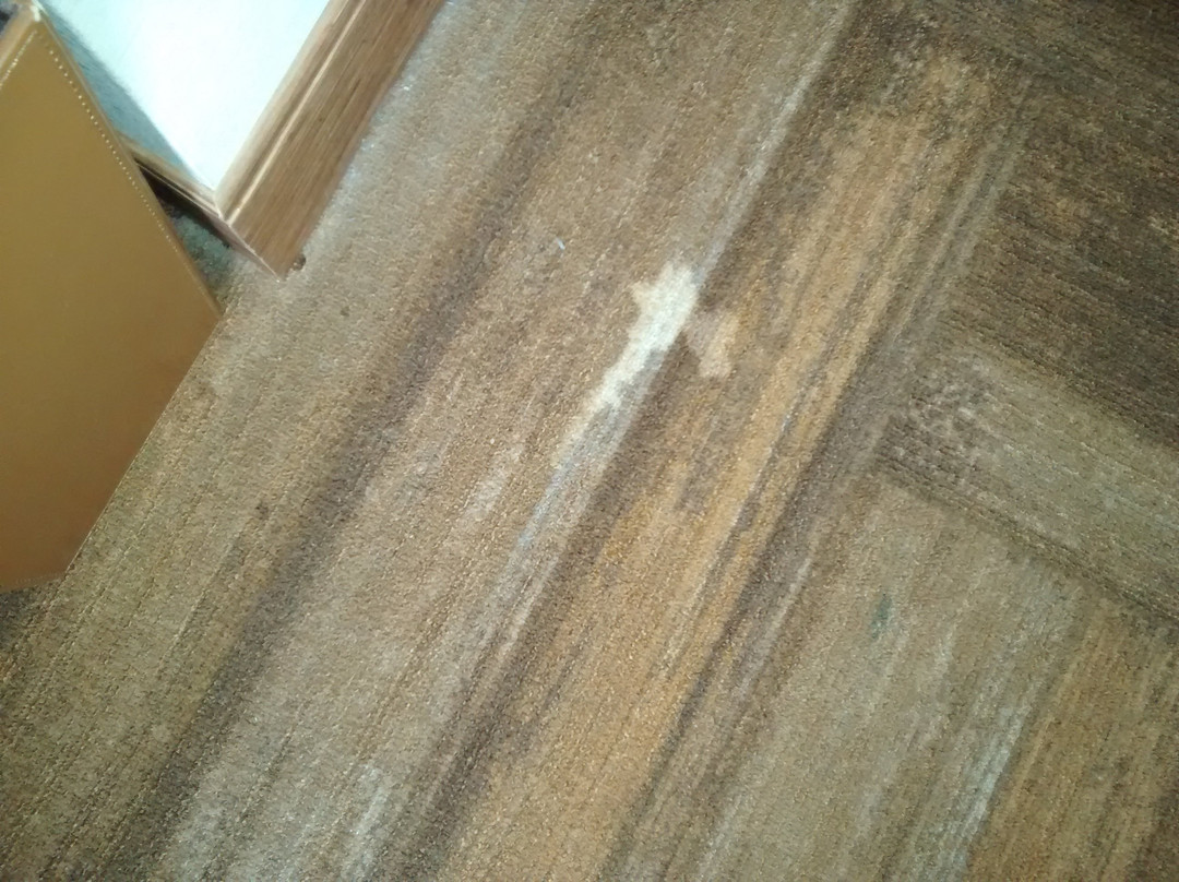 Del Lago Resort & Casino主图