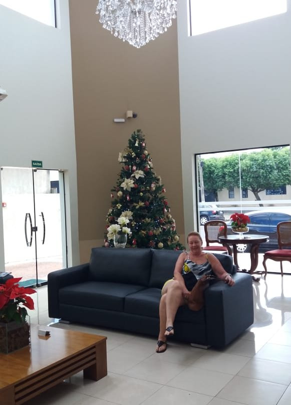 Hotel das Dracenas主图