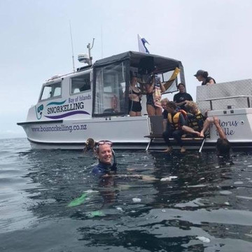 Bay of islands Snorkelling Ltd-派希亚必去景点