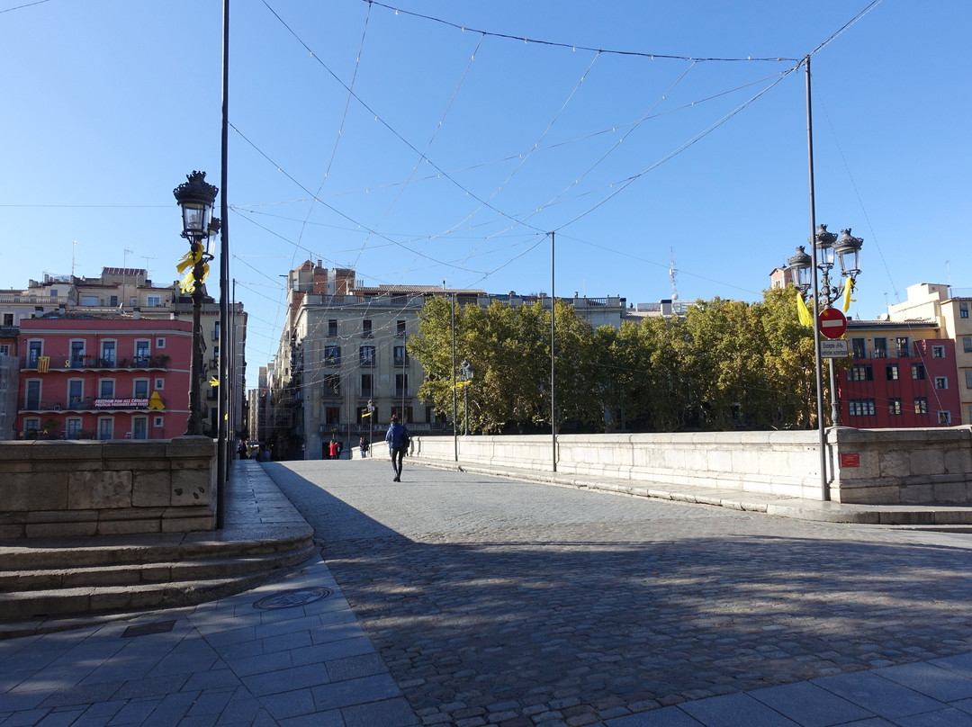 Pont de Pedra景点图片