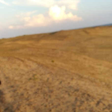 Kamal Safari Bundala Park-Weligatta必去景点