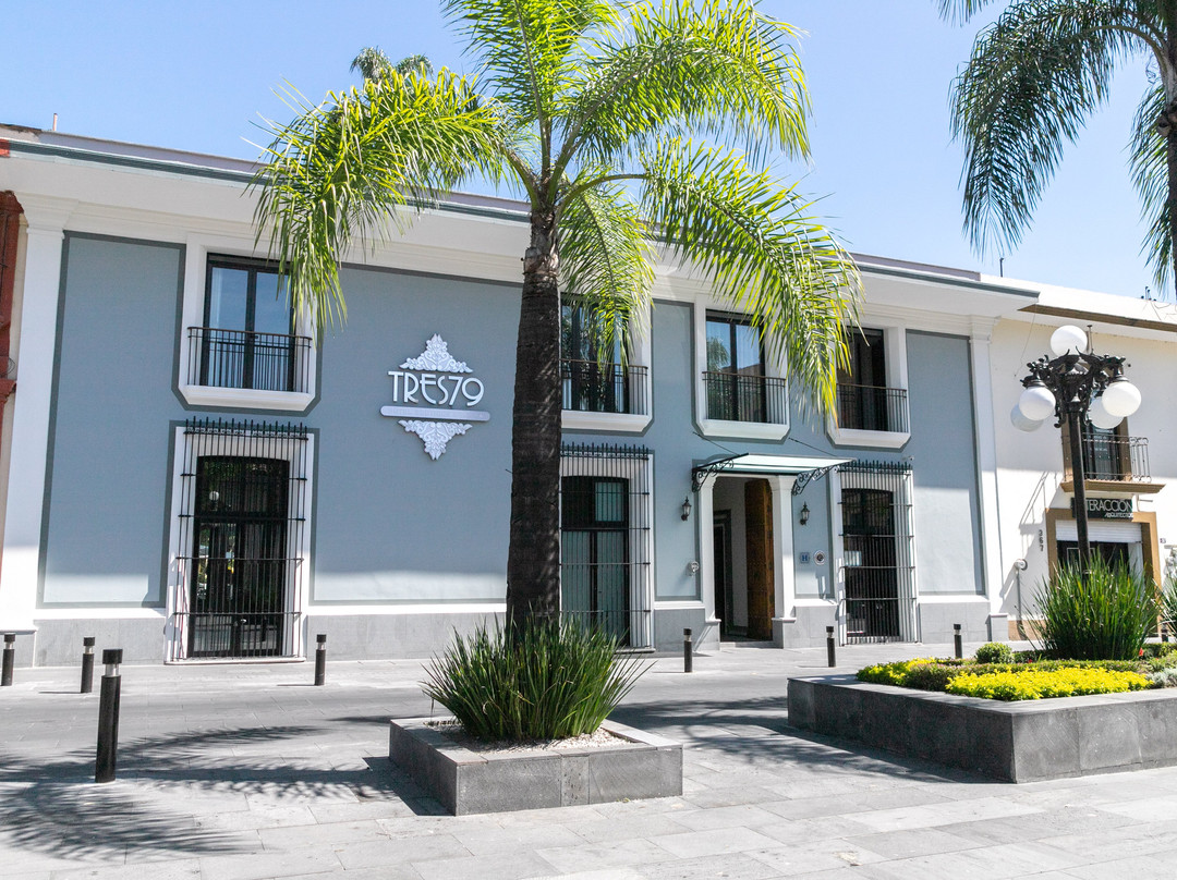 Tres79 Orizaba Curamoria Collection主图