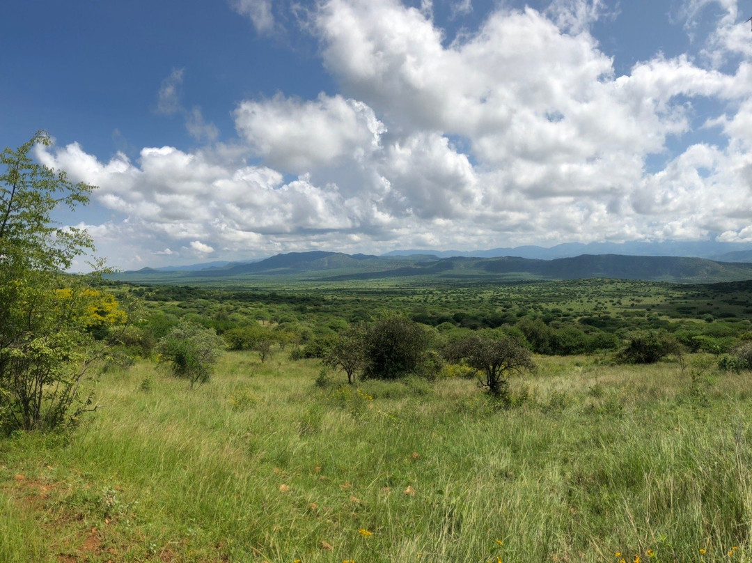 Nechisar National Park景点图片