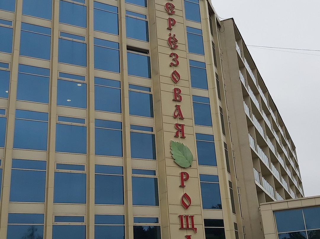 Aksakovo旅游攻略图片