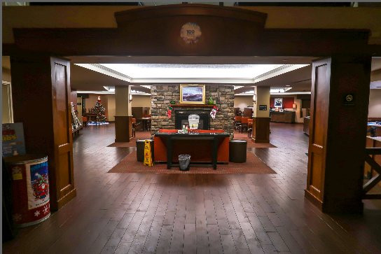 伯灵顿希尔顿恒庭酒店主图