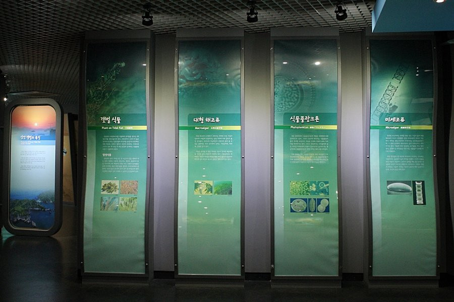 Shinan Getbol Center Cittaslow Center