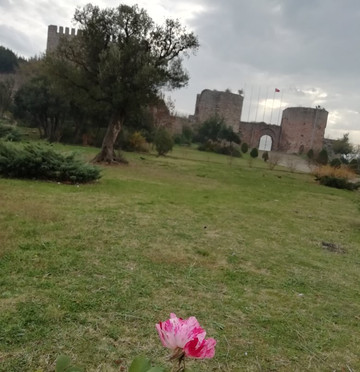 Eskihisar Kalesi-Gebze必去景点