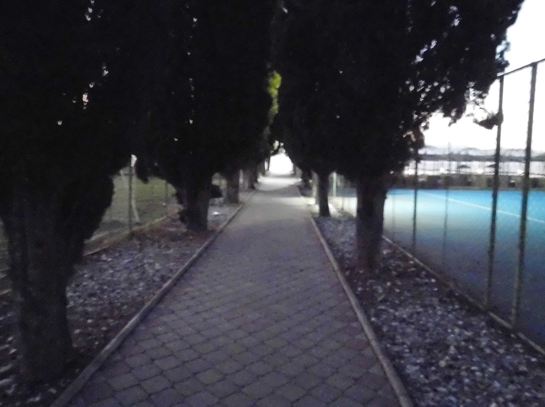 Aqualina Hotel主图