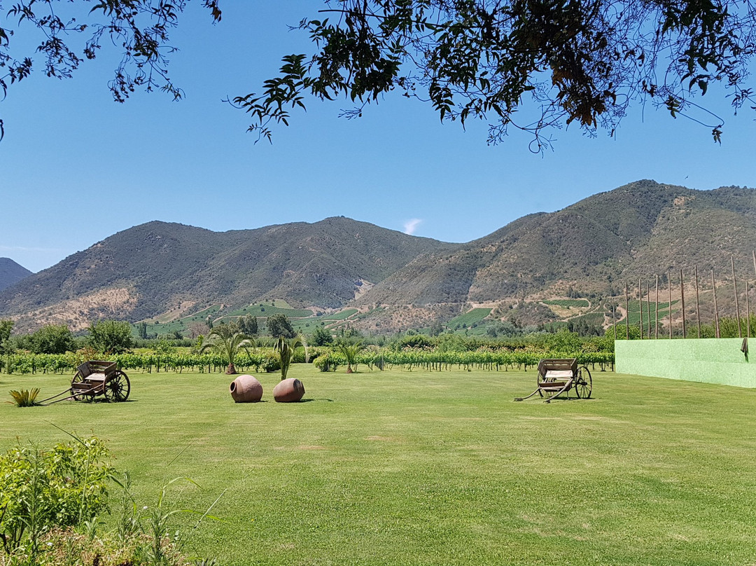 Hotel Casa De Campo主图