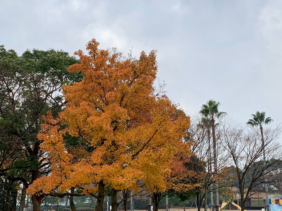 Seto Ohashi Commemorative Museum-坂出市必去景点