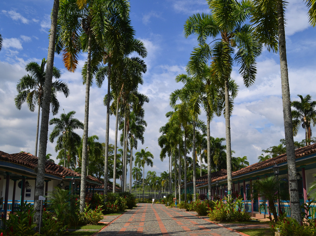 Decameron Las Heliconias主图