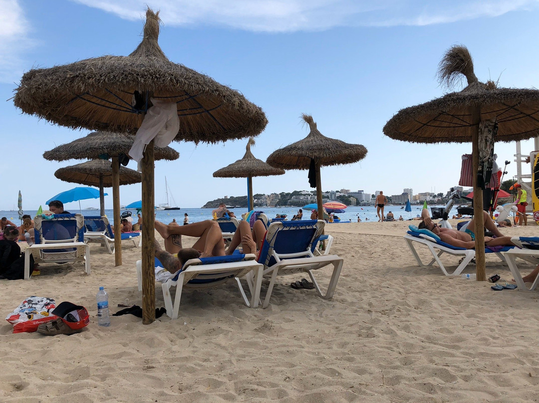 Playa Porto Novo-Palmanova必去景点
