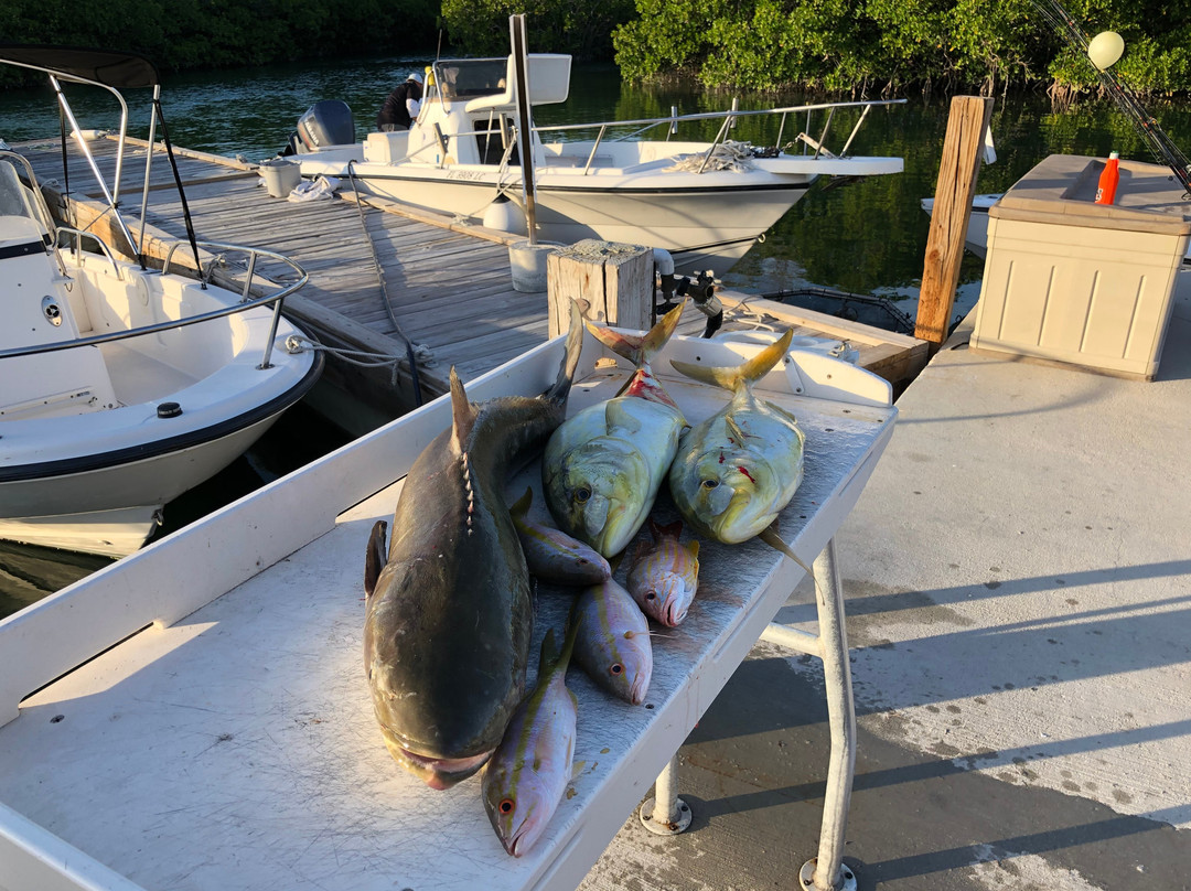 Nice Guy Charters-基韦斯特必去景点